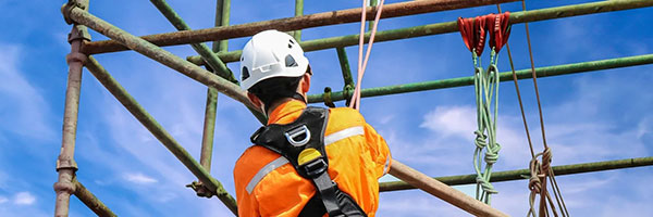 wdc safety courses fall protection